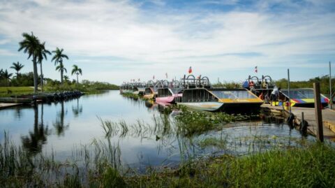 Het Everglades National Park in Florida, Amerika